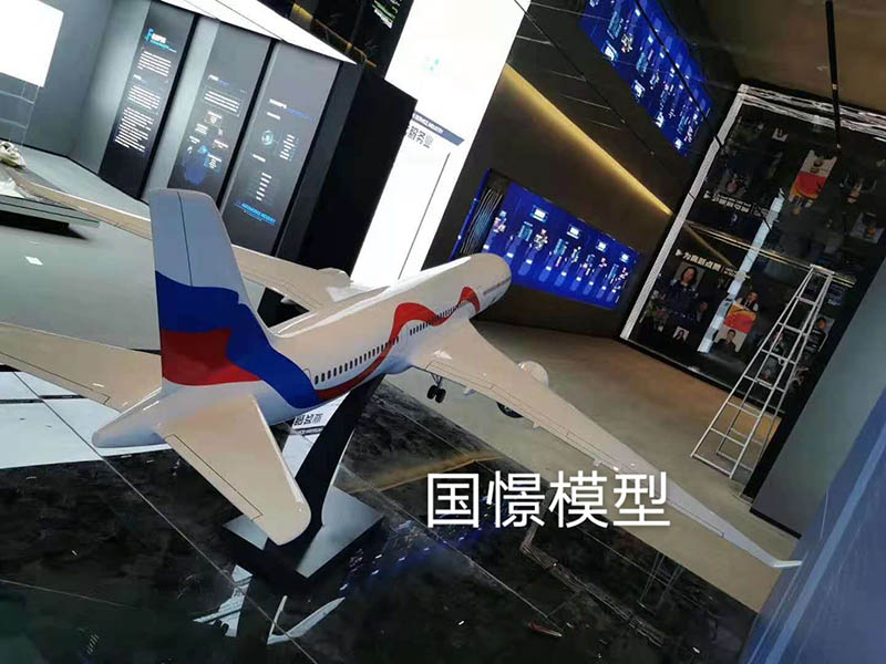 武清区飞机模型